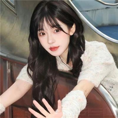 二十美圆
